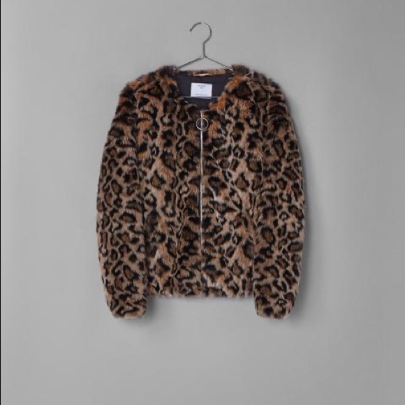 Bershka leopard coat - Picture 1 of 5